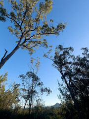 XXX Sunshine Coast, Queensland, Australia