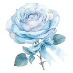 Elegant blue rose illustration
