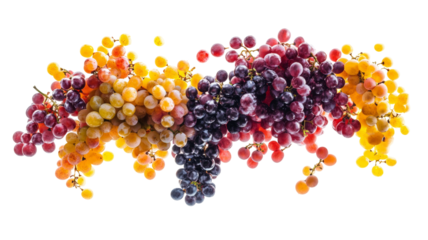 Engaging image of grapes falling mid-air accentuating their vivid colors and charming groupings.