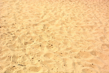 Illuminated by sunlight sand filled beach.