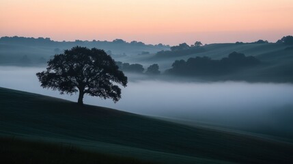 Naklejka premium A serene landscape at dawn with a solitary tree amidst rolling hills and mist.