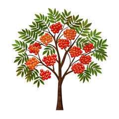 Obraz premium A vibrant tree with a sturdy trunk, adorned with clusters of orange-red berries and green leaves, symbolizing nature's abundance.