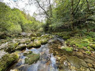 The Glijun stream above the Virje waterfall or the bed of the Gljun stream (Bovec, Slovenia) - Der...