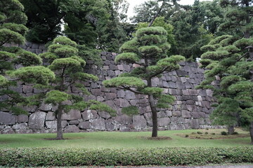 trees in the japanese garden tokyo osaka
