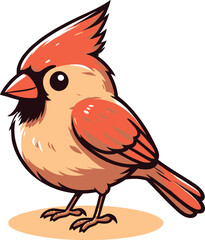 A cute Northern Cardinal bird standing with vibrant red feathers with white background