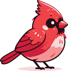 A cute Northern Cardinal bird standing with vibrant red feathers with white background