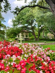 Beautiful garden with vibrant flowers in the foreground and a fountain under large trees