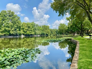 Obraz premium Serene park with a calm lake, lush green trees, and a clear blue sky reflecting in the water