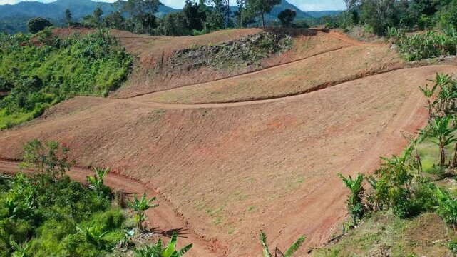 Aerial drone shot of the lush, expansive coffee farm fields in Adjuntas, Puerto Rico.