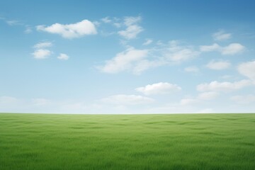 Fototapeta premium A green grass field outdoors horizon nature.