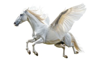 A majestic white horse with wings soars through the air, perfect for fantasy and adventure scenes