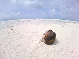 竹富島のビーチ