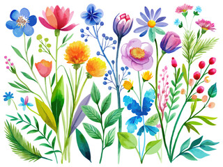 a colorful illustration of various flowers and plants. It features a variety of flowers in different shapes and sizes, with colors including pink, purple, blue, yellow, and orange