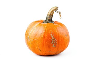 Obraz premium A small orange pumpkin sits on a white surface, perfect for decoration or photography