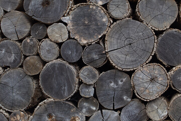 Pile of wood logs stored for winter. 