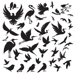 Set of birds silhouettes isolated on white background