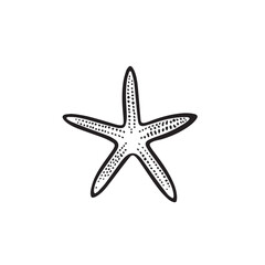 Fototapeta premium Starfish in cartoon, doodle style . Image for t-shirt, web, mobile apps and ui. Isolated 2d vector illustration in logo, icon, sketch style, Eps 10, black and white. AI Generative