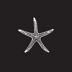 Starfish in cartoon, doodle style . Image for t-shirt, web, mobile apps and ui. Isolated 2d vector illustration in logo, icon, sketch style, Eps 10, black and white. AI Generative