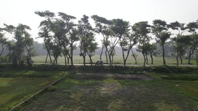 Drone footage of three-wheeler vehicles moving on a road in fields on a sunny day in Bangladesh