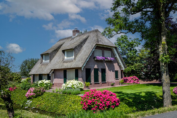 house with flowers