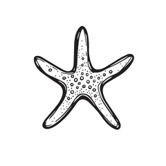 Starfish in cartoon, doodle style . Image for t-shirt, web, mobile apps and ui. Isolated 2d vector illustration in logo, icon, sketch style, Eps 10, black and white. AI Generative