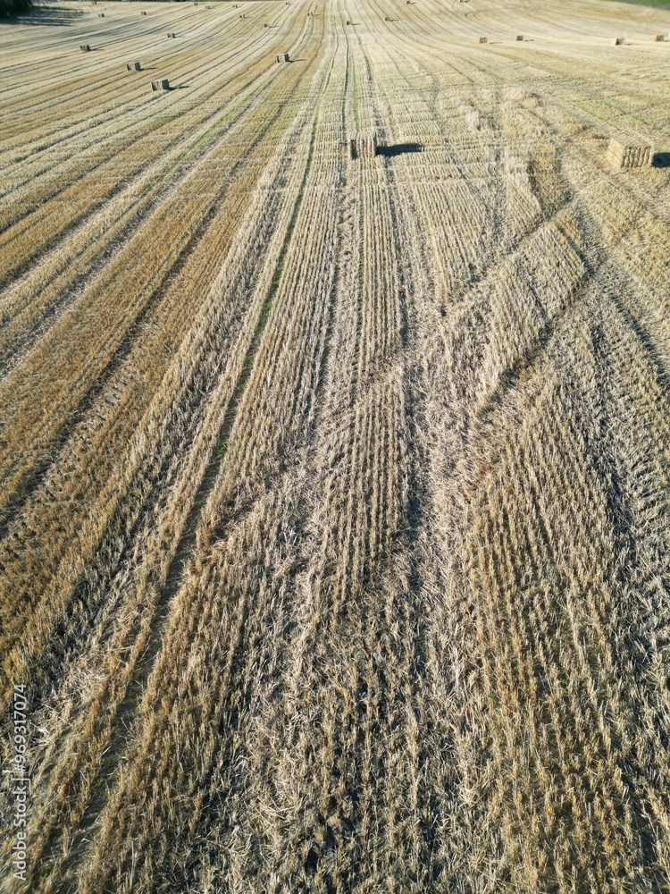 Wall mural Aerial view of harvested field with hay bales on a sunny day.