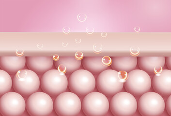 3d layers of skin with nutrition vitamins, collagen serum