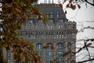 Obraz premium Detailed view of a historic building facade framed by autumn leaves in New York City