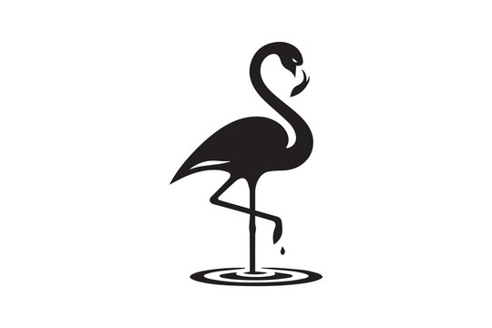 recommend clip art: flamingo vector silhouette illustration. flamingo bird vector
