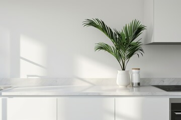 Bright and modern kitchen interior featuring a stylish countertop, potted plant, and minimalist decor elements.