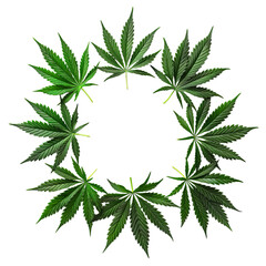 Cannabis, Marijuana on transparent background.