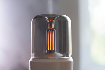 Air humidifier. Aroma lamp. Oils. Minimalism. Minimalistic lamp for air humidification. Horizontal....