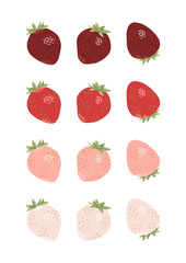 イチゴのセット