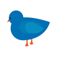 Cartoon Blue Bird Icon