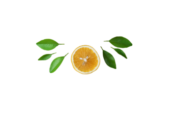 orange with leaves PNG, orange, slice of orange, orange with leaves isolated on white transparent background