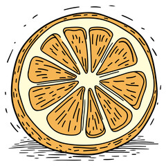 Hand Drawn Illustration of a Sliced Orange with Visible Pulp