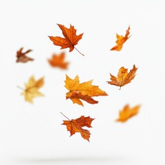 Fototapeta premium Autumn leaves leaf background floating.