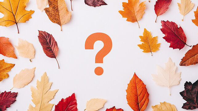 Overhead autumn photograph with a Question Mark in the middle. 