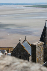 two seagulls on the roof of the house 