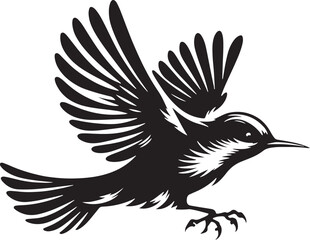 black and white bird