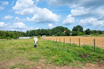 Green meaodws and harvested fields at the Flemish countryside around Nieuwrode, Holsbeek, Belgium