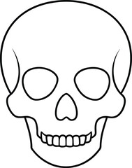 Skull outline vector art illustration, black and white skull icon closeup isolated.