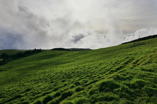 Green hillside under a cloudy sky, Azores Sao Miguel Island Portugal