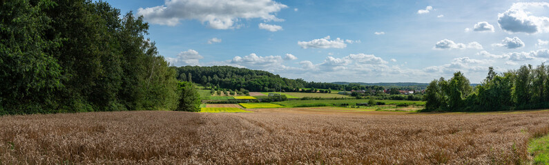 Colorful hills and agriculture fields with vineyards at the Hageland, Rotselaar, Belgium