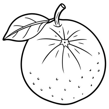 recommend clip art: citrus hand draw outline coloring book page line art drawing