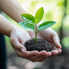 Green corporate. Business with environmentally conscious and sustainability. For next generation.