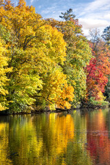 Golden Colors on Cullasaja River in North Carolina