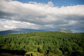 Obraz premium Scenic forest and mountain landscape under a cloudy sky.
