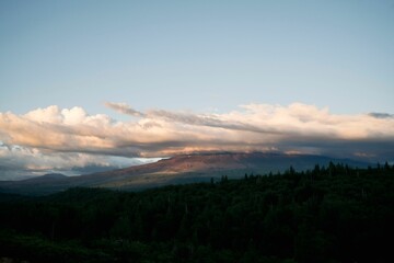 Mountain landscape with clear sky and forest