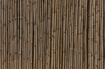 Dry bamboo texture Bamboo stick background